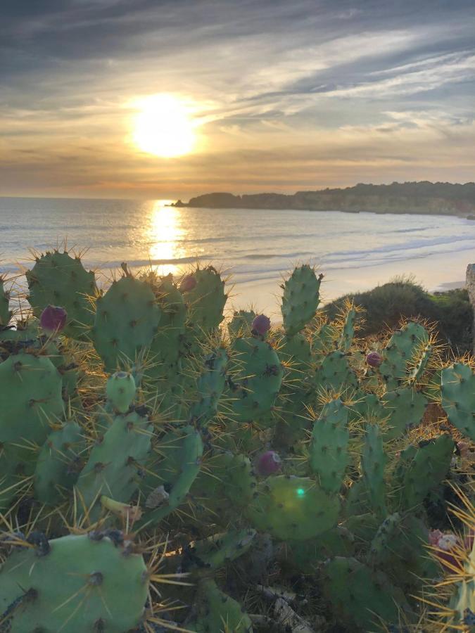 Sol E Mar Bemposta Leilighet Alvor Eksteriør bilde